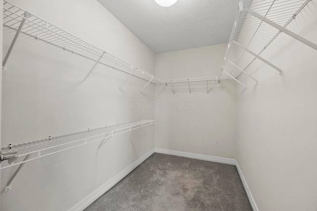 4003 Laurel Valley Dr, Powell, OH 43065 - spacious closet featuring carpet flooring
