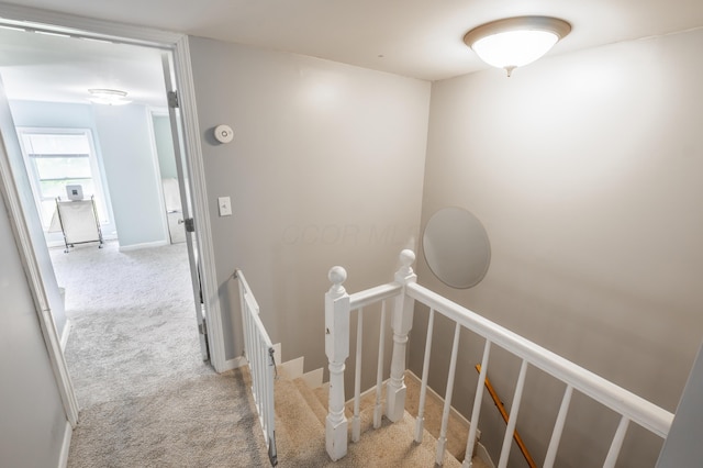 793 Waldo Fulton Rd, Waldo, OH 43356 - stairway featuring carpet flooring