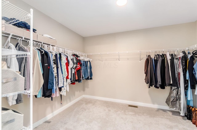 600 Courtright Dr E, Pickerington, OH 43147 - spacious closet featuring carpet flooring