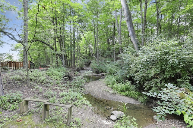 437 Barrington Rdg, Pataskala, OH 43062 - view of yard