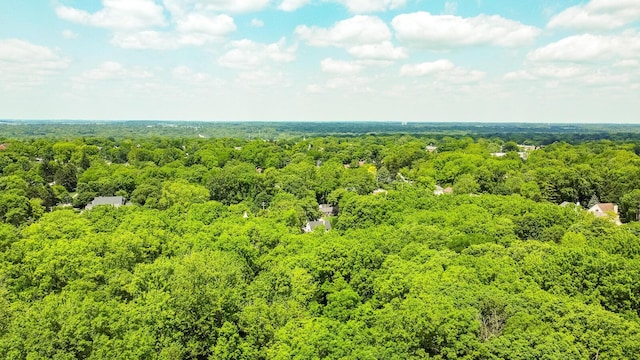 670 Greenwich St, Worthington, OH 43085 - aerial view of a heavily wooded area