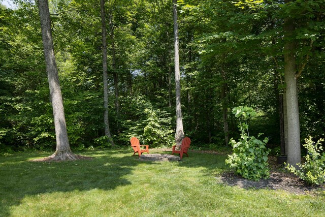 32 Mandolin Ct, Etna, OH 43062 - photo 48
