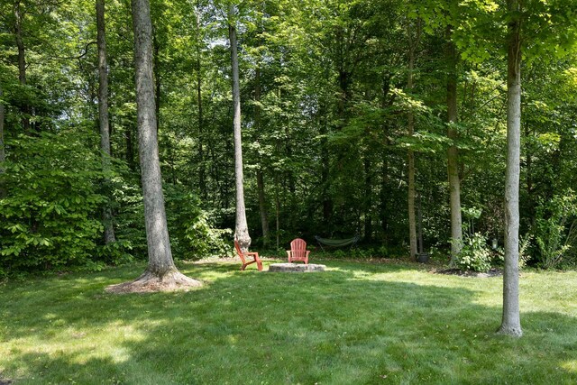 32 Mandolin Ct, Etna, OH 43062 - photo 49