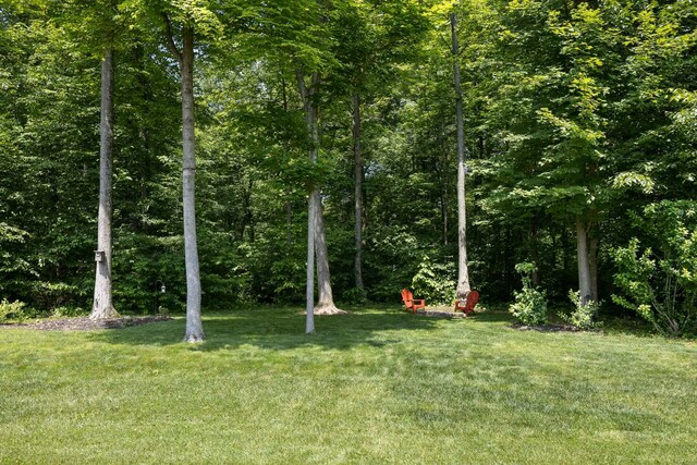 32 Mandolin Ct, Etna, OH 43062 - photo 50