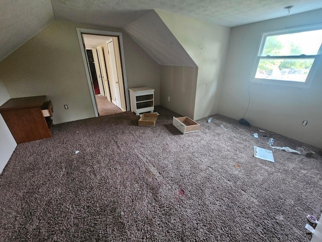 710 Glendower Ave, Columbus, OH 43207 - additional living space with lofted ceiling, carpet flooring, and a textured ceiling