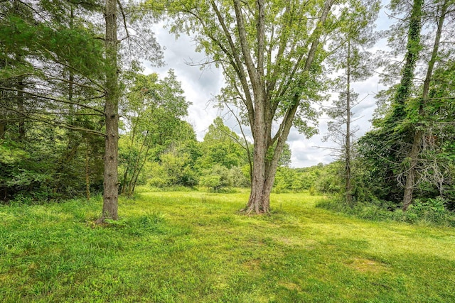 3663 Cedar Hill Rd NW, Canal Winchester, OH 43110 - view of yard with a view of trees