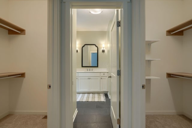 3663 Cedar Hill Rd NW, Canal Winchester, OH 43110 - spacious closet with a sink