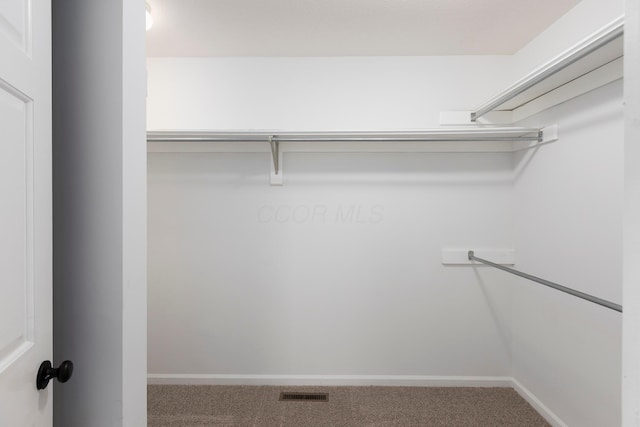 833 Moon Glow Ct, Columbus, OH 43230 - spacious closet featuring carpet floors