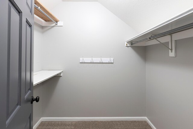 833 Moon Glow Ct, Columbus, OH 43230 - spacious closet featuring carpet floors