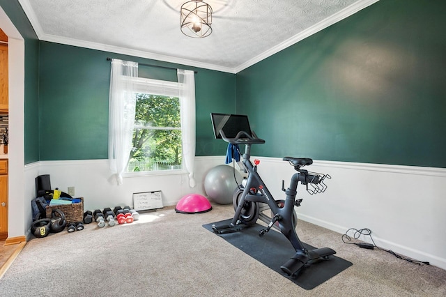 1126 Welwyn Dr, Westerville, OH 43081 - workout area with a textured ceiling, ornamental molding, and carpet