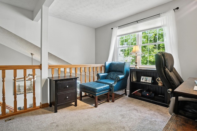 1126 Welwyn Dr, Westerville, OH 43081 - office with carpet floors and a textured ceiling