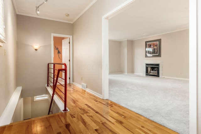 702 City Park Ave, Columbus, OH 43206 - photo 20