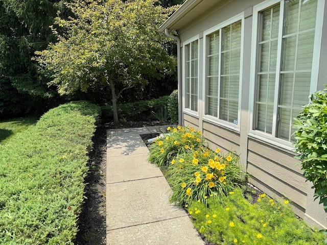 6608 Lakeview Cir, Canal Winchester, OH 43110 - view of yard