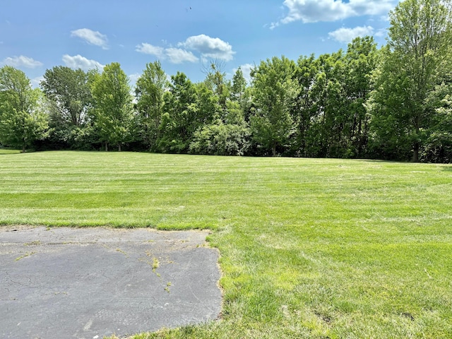6608 Lakeview Cir, Canal Winchester, OH 43110 - view of green lawn