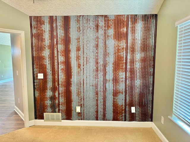6608 Lakeview Cir, Canal Winchester, OH 43110 - detailed view of a textured ceiling, wood finished floors, and carpet