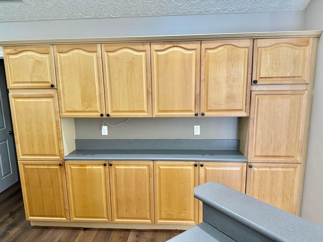6608 Lakeview Cir, Canal Winchester, OH 43110 - kitchen featuring light brown cabinetry and dark wood finished floors