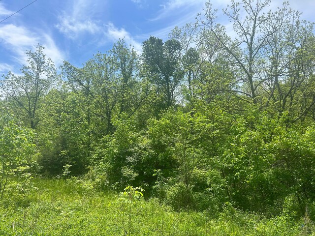 0 Buchanan Rd, Waverly, OH 45690 - photo 3