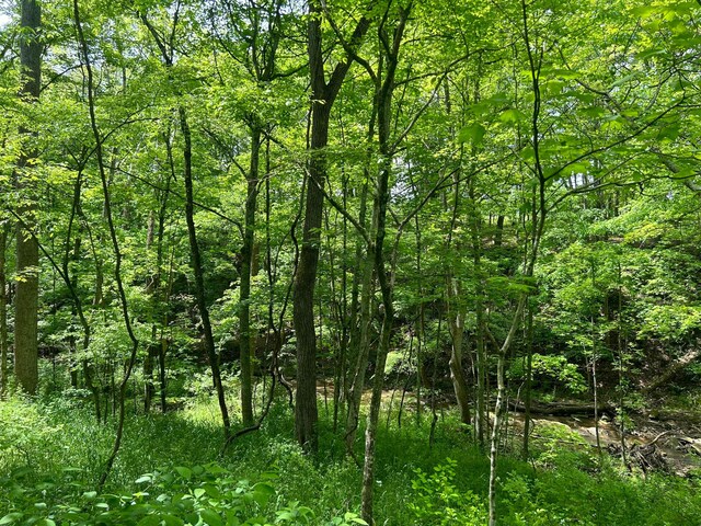 0 Buchanan Rd, Waverly, OH 45690 - photo 8