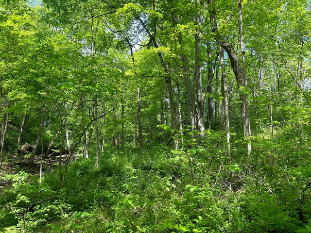 0 Buchanan Rd, Waverly, OH 45690 - photo 9