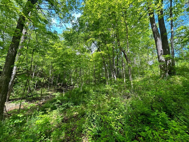 0 Buchanan Rd, Waverly, OH 45690 - photo 10
