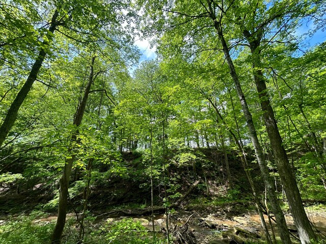 0 Buchanan Rd, Waverly, OH 45690 - photo 11