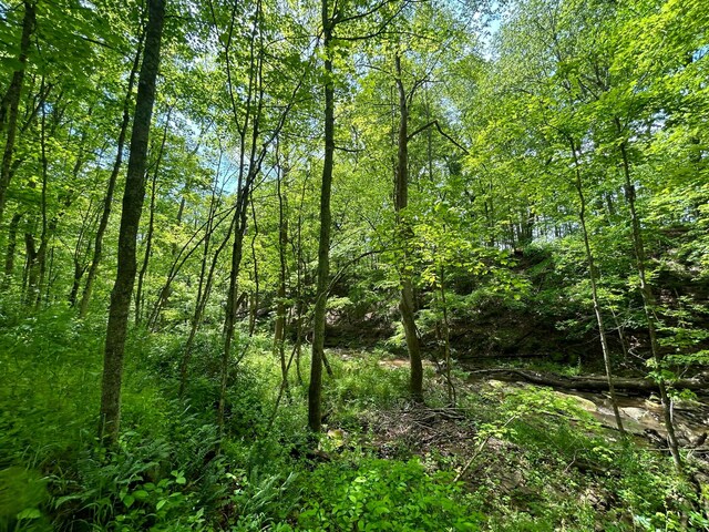 0 Buchanan Rd, Waverly, OH 45690 - photo 13