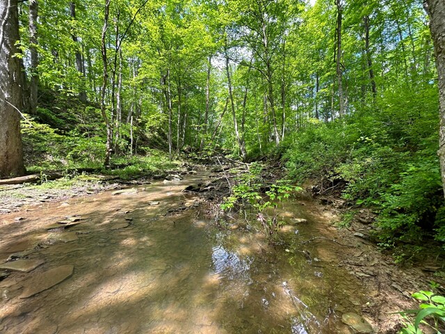 0 Buchanan Rd, Waverly, OH 45690 - photo 14