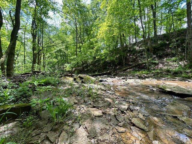 0 Buchanan Rd, Waverly, OH 45690 - photo 17