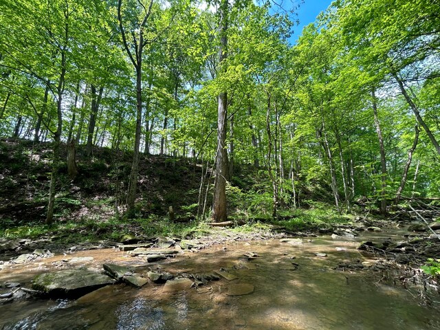 0 Buchanan Rd, Waverly, OH 45690 - photo 18