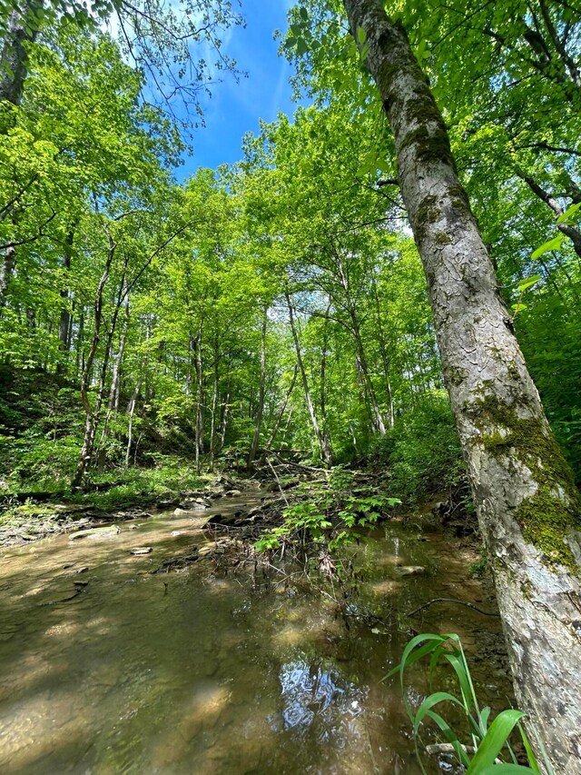 0 Buchanan Rd, Waverly, OH 45690 - photo 20