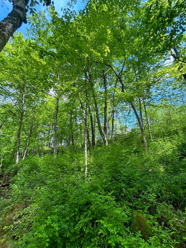 0 Buchanan Rd, Waverly, OH 45690 - photo 21