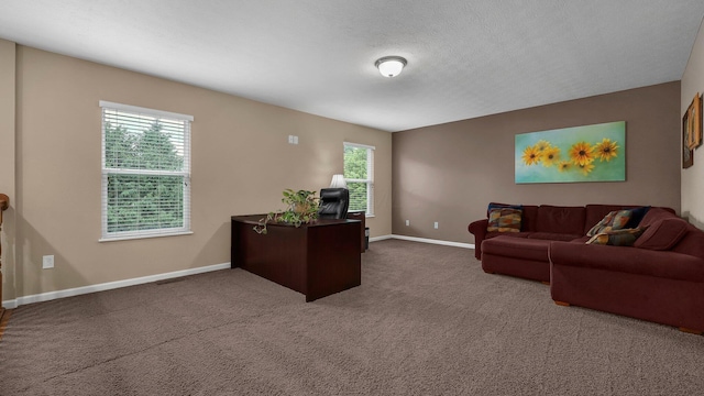 6229 Janes Way, Hilliard, OH 43026 - carpeted home office with baseboards and a textured ceiling
