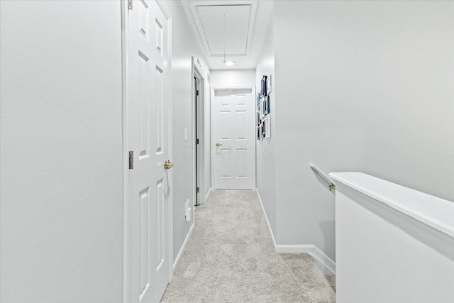 5821 Albany Grv, Westerville, OH 43081 - hallway featuring attic access and carpet