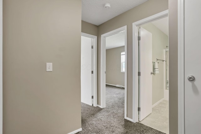 7607-7609 Penwood Pl, Columbus, OH 43235 - hallway with carpet flooring and a textured ceiling