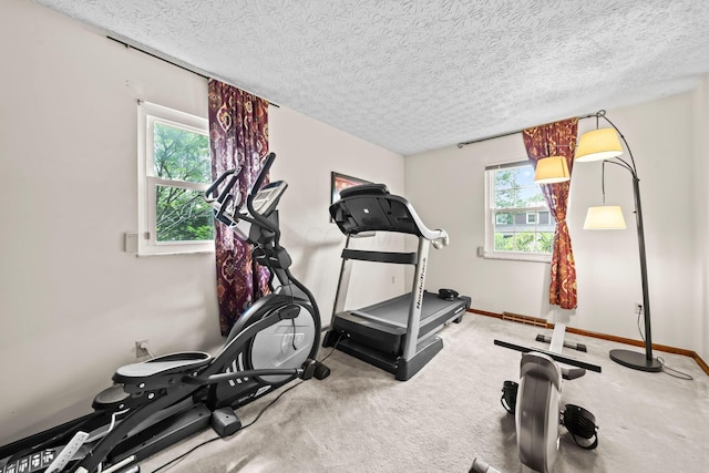 505 Tresham Rd, Columbus, OH 43230 - exercise area with a textured ceiling and carpet flooring