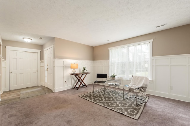 7831 Meadowhaven Blvd Unit 73, Columbus, OH 43235 - sitting room featuring carpet, a decorative wall, a textured ceiling, and a wainscoted wall