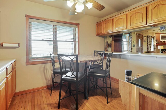 5255 State Route 138, Circleville, OH 43113 - dining room with a ceiling fan, healthy amount of natural light, and light wood finished floors