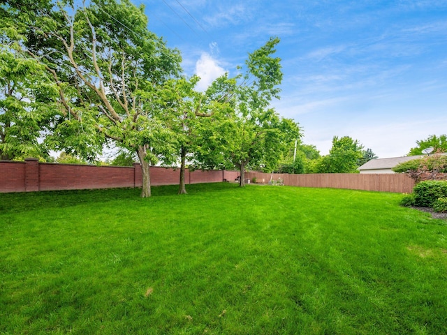 5611 Donnally Ct, Dublin, OH 43016 - view of yard