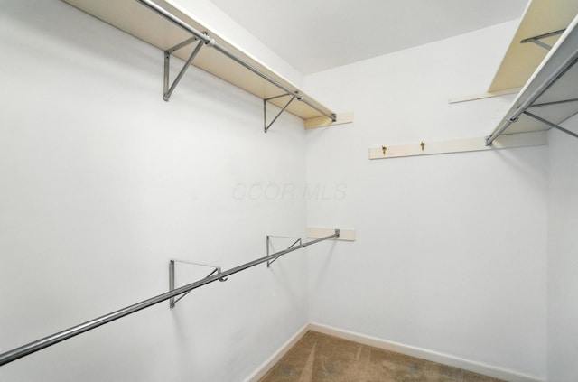 3175 Dartford Trce, Dublin, OH 43017 - walk in closet with carpet floors