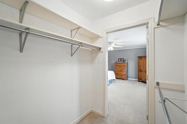 3175 Dartford Trce, Dublin, OH 43017 - walk in closet with light colored carpet and ceiling fan