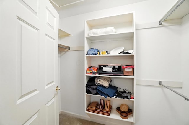 3175 Dartford Trce, Dublin, OH 43017 - view of walk in closet