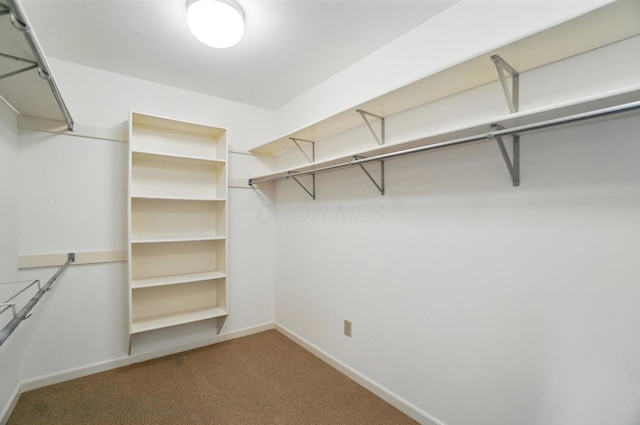 3175 Dartford Trce, Dublin, OH 43017 - walk in closet featuring carpet