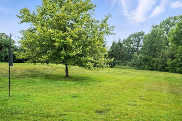 3175 Dartford Trce, Dublin, OH 43017 - view of green lawn