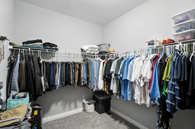 618 Ludham Trl, Pickerington, OH 43147 - walk in closet featuring carpet flooring