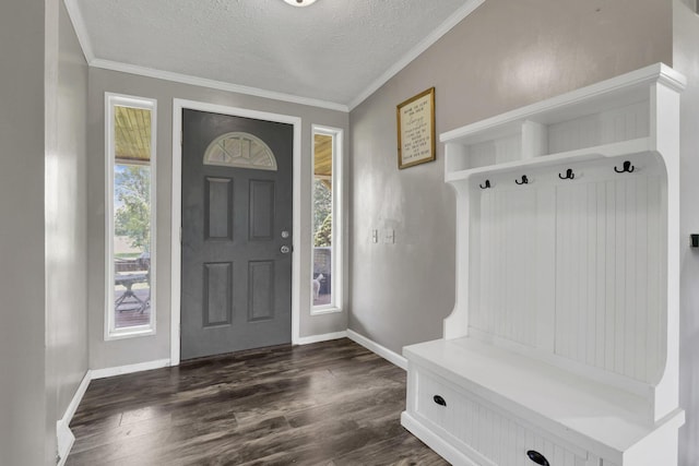 6471 Graham Rd, Mount Vernon, OH 43050 - mudroom featuring healthy amount of natural light, dark wood-style flooring, a textured ceiling, and crown molding