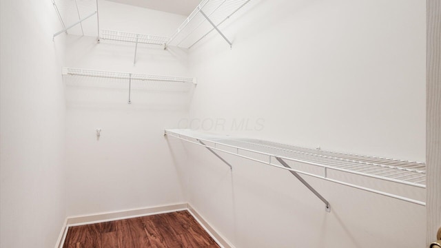 74 Stonington Cir, Newark, OH 43055 - walk in closet with dark wood-style floors