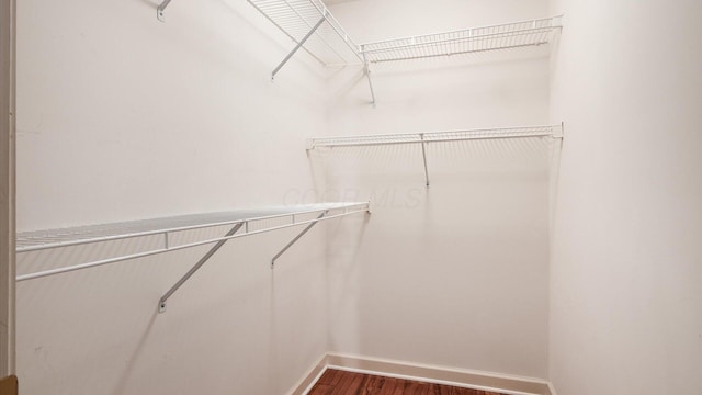74 Stonington Cir, Newark, OH 43055 - walk in closet with dark wood finished floors