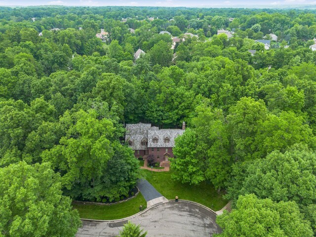 575 Woods Hollow Ln, Powell, OH 43065 - photo 76