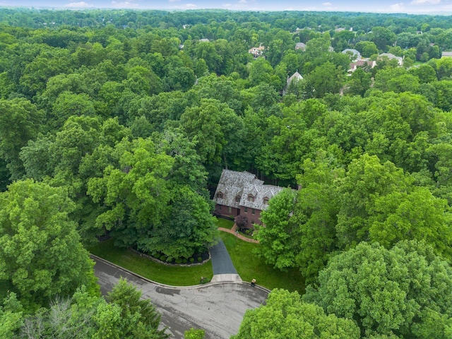 575 Woods Hollow Ln, Powell, OH 43065 - photo 77