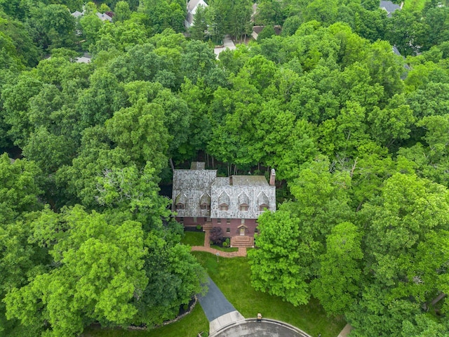 575 Woods Hollow Ln, Powell, OH 43065 - photo 80